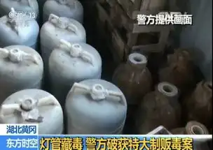 北京名牌大学生回乡创业竟成绝命毒师