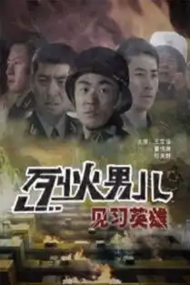 烈火雄心全集在线观看
