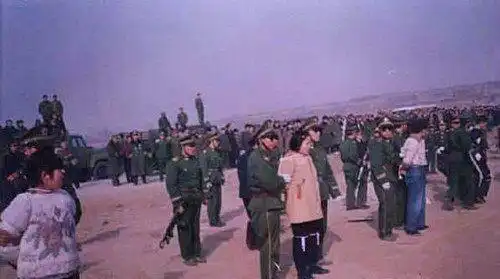 80年代集体处决犯罪分子的历史旧照,用枪顶罪犯的后脑勺枪决
