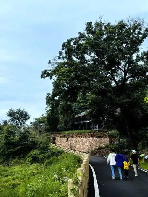 这个夏天,想你的风吹到一个叫豳风小院的地方
