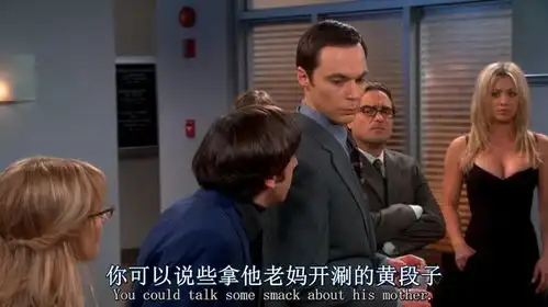 生活大爆炸第六季