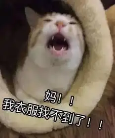 这就是放暑假时在家的你