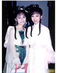 电视剧红极一时家喻户晓而作为配角的她们却被遗忘退出娱乐圈
