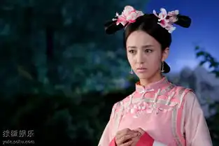 清宫穿越情感大戏宫精美剧照7