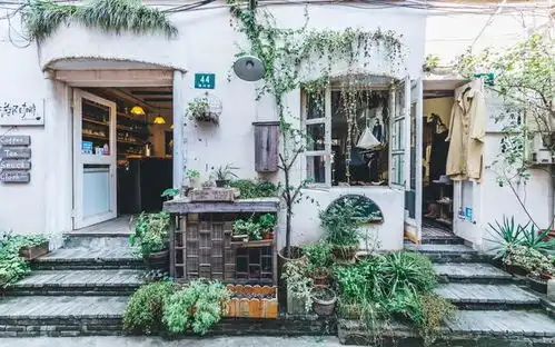 北京一家10年没电视读书万本,现蜗居10㎡余秋雨假阅读害死人沈先生