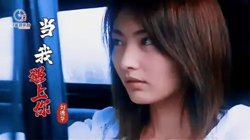 电影阿虎常盘贵子有多美一首刘德华当我遇上你满满回忆