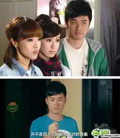 qq皮肤喜欢爱情公寓4的孩子抛2014爱情公寓