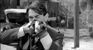 影片杀死一只知更鸟12
