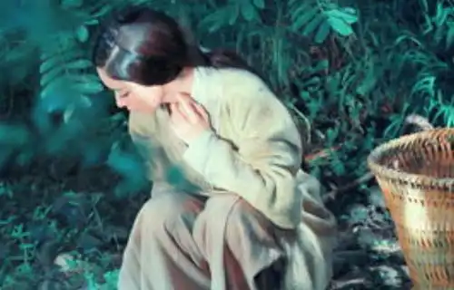 赵丽颖竟拍过云中歌前期没镜头后期透明人,颜值巅峰却被遗忘