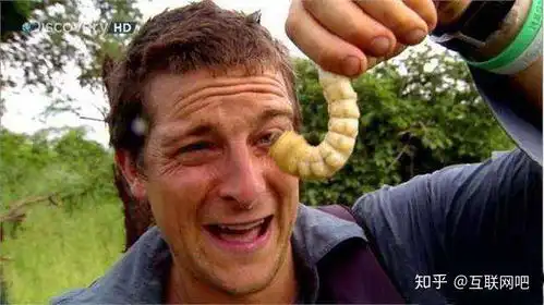 贝爷为啥不拍荒野求生了
