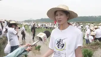 这张面孔你熟悉吗鹮田一分阿拉善see西北中心插秧体验活动在我县成功举办
