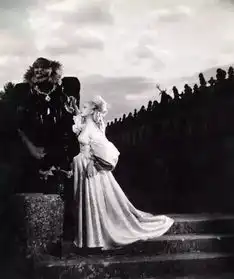 给你个理由让你不得不看imax美女与野兽
