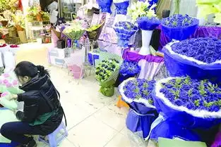 长宁政法综治网
