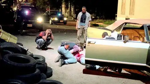 连拍5季,均分9.6揭秘宝藏美剧背后的神仙原著