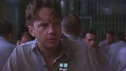 肖申克的救赎心中永怀对自由的渴望,就没有什么可以阻挡你
