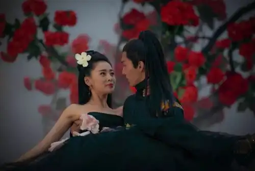 太子妃升职记被韩国翻拍,擎天柱将拍独立电影丨影八卦