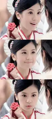 倚天屠龙记赵敏贾静雯