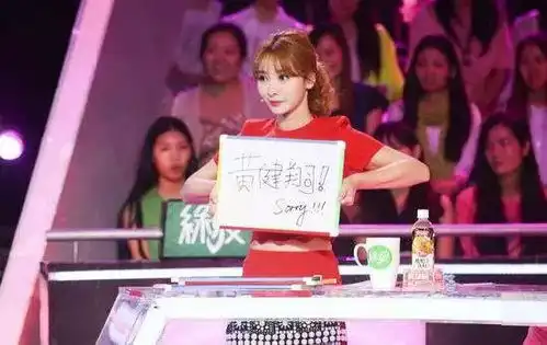 红极一时的柳岩是被谁封杀的
