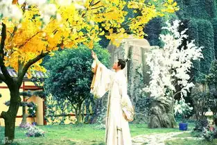 组图陆毅云中歌曝剧照陵哥哥陷情义两难
