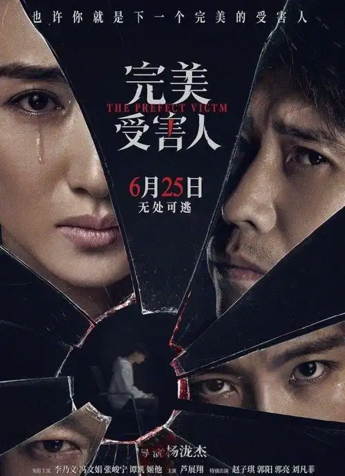 完美受害人计日可待,李乃文独挑大梁,女主更是温婉美丽
