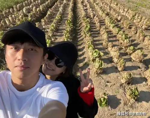 邓超用孙俪毛笔作画,画的很好,下次别画了