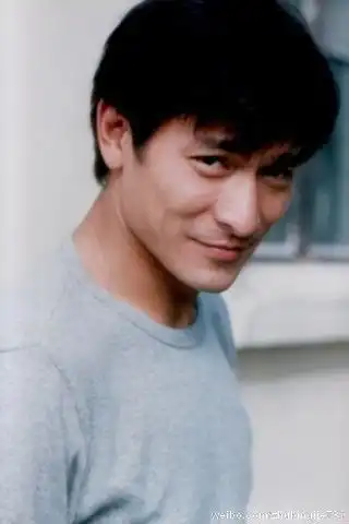 与梁朝伟tonyleungchiuwai合作2次以上的影人