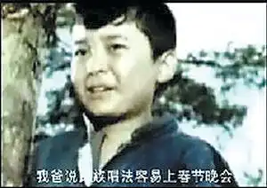 公然播放篡改版闪闪的红星
