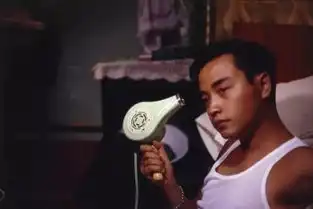 王家卫御用摄影师杜可风与他最强代表作电影
