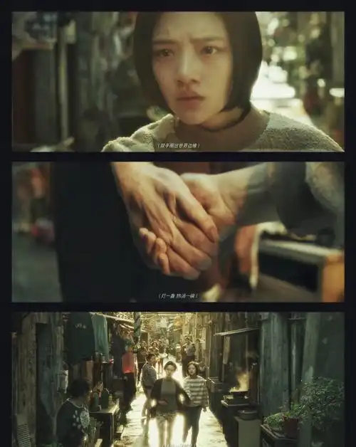 悲伤逆流成河仙人掌做不了花,没办法让人捧在手心里
