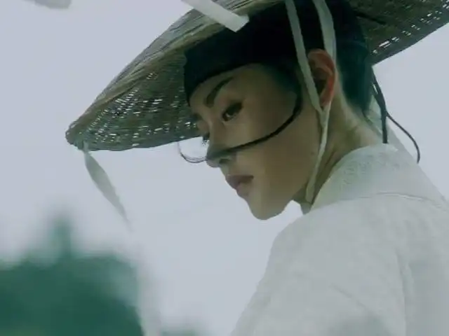 太子妃遇上大皇子,阿麦从军官宣,张天爱又飒回来了