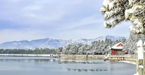 别扎堆故宫了看了这些高性价比赏雪地,我已经开始期待下一场雪
