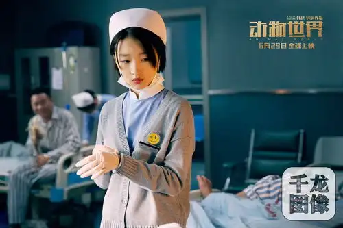 动物世界票房破4亿周冬雨为爱停泊引共鸣
