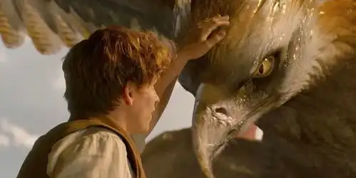 电影里的这些神奇动物,也许真的存在过