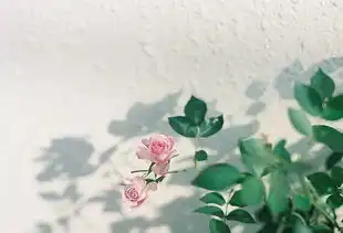 以花为名,聆听浪漫的音符诗篇