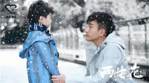 两生花2526集剧情介绍135集电视剧全集分集剧情至大结局
