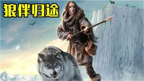 这部人与狼的电影感动了无数人,狼若想报恩必将会舍命奉陪
