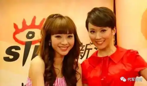 柳岩火了,这一次终于不再是因为胸