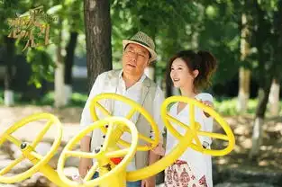 恋爱先生收官倪大红演绎中国式毒舌老爹