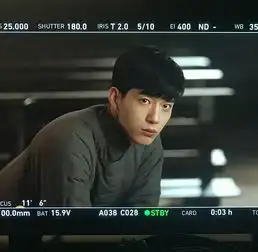 井柏然刘亦菲,南烟斋笔录这波骚操作狠期待啊