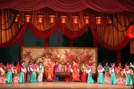 驻朝鲜大使刘洪才观看朝歌剧红楼梦汇报演出
