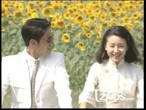 小时代电视剧剧照桐华