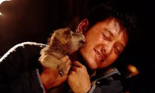 全球10大最好看的动物电影,疯狂动物城榜首,你都看过了吗
