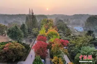 南京紫金山陆续上色秋意渐浓
