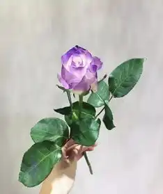 奇梅花道1分钟get染色技巧,让你的作品更有料
