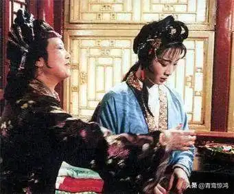 再读红楼第46回邢夫人替贾赦娶小妾,鸳鸯不从以死表决心