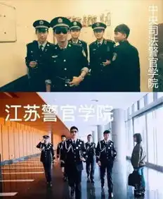 太阳的后裔热度比星星更甚掀起全国模仿潮
