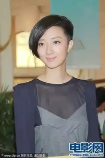 龙门飞甲澳门首映徐克携众主创连袂出席