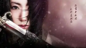 dingoss的创作历程zcool