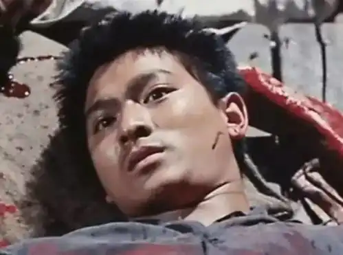 唯一入选中文教材,裸捐56亿,65岁的他从没将自己当成偶像