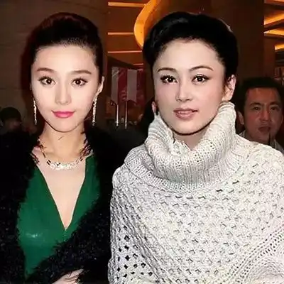 网友公认的十大绝色美女刘亦菲高圆圆都未能上榜
